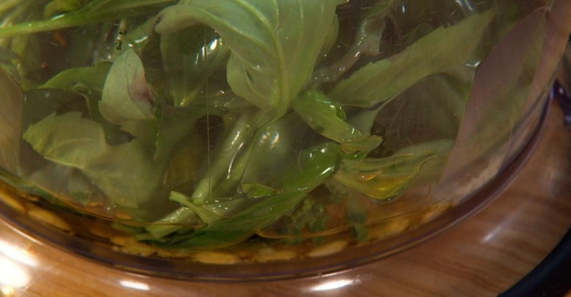 Версия салата капрезе